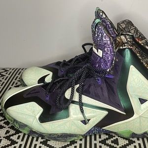 NIKE LeBron James 11 ‘Gator King’